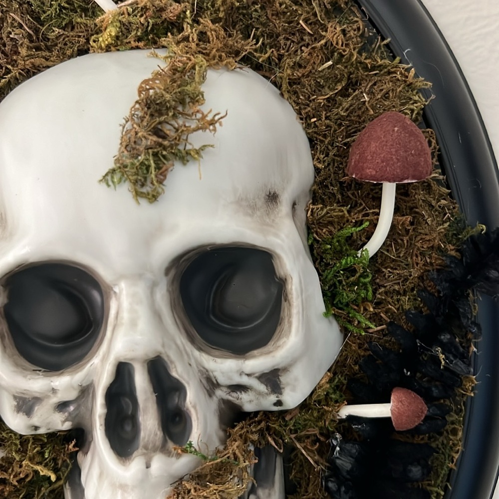 NWT - 14" Hanging Framed Skull Halloween Decorative Prop - Hyde & EEK! Boutique™ - Picture 7 of 9